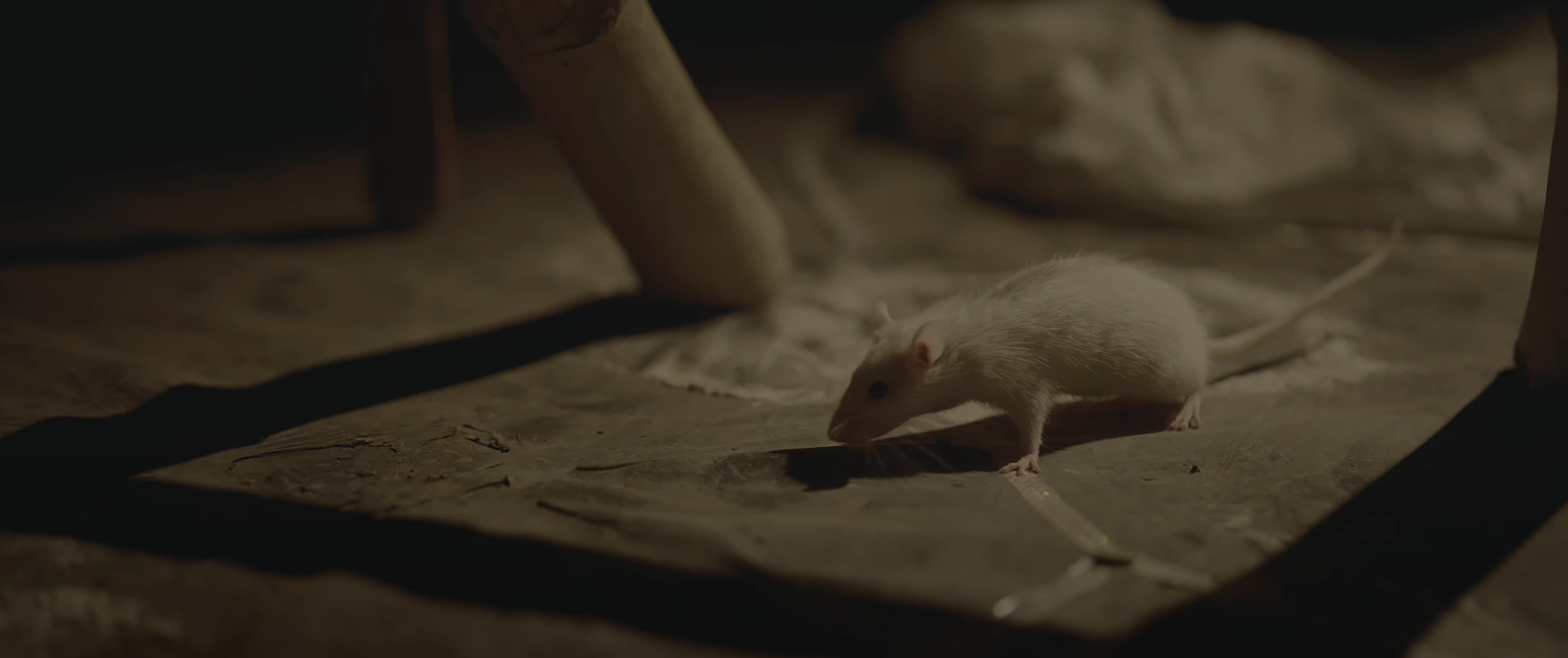 Still 7